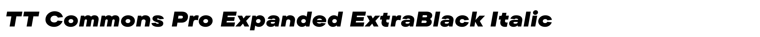 TT Commons Pro Expanded ExtraBlack Italic